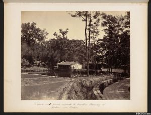 1876或1877年拍摄的放生池及澄心亭，当时尚未改建为“回龙阁”，照片原标注为“鱼池，以及铺装的、通往涌泉寺的小路”（来源：哈佛大学燕京图书馆）