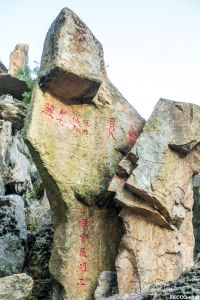 猴山部分假山石刻（暂不留名摄于2016年2月）
