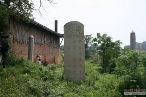 厚峰林烃墓神道碑与望柱（从南到北）（来源：严可清摄于2009年6月）