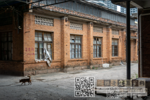 高侧窗厂房 高侧窗厂房